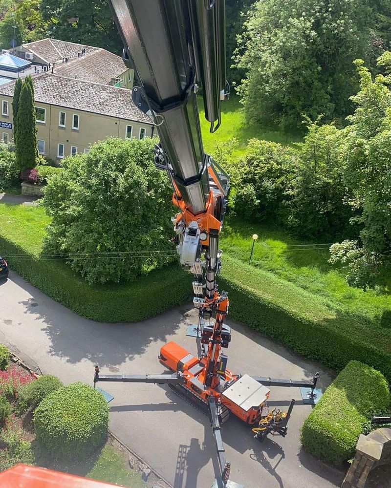 About Us Thompson Tree Services